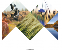 Факультет географии и геоинформатики БГУ совместно с Государственным комитетом по имуществу впервые проводит фотоконкурс "Зямля мая беларуская" Факультет географии и геоинформатики БГУ совместно с Государственным комитетом по имуществу впервые проводит фотоконкурс "Зямля мая беларуская"