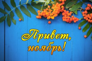 Привет, ноябрь!