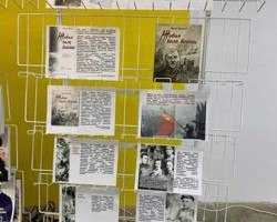 Вердикт: познавательно и эмоционально!