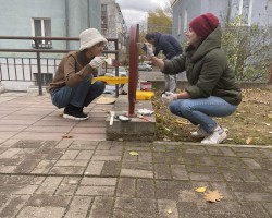 Чистота, красота и порядок Чистота, красота и порядок