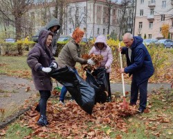 Чистота, красота и порядок Чистота, красота и порядок