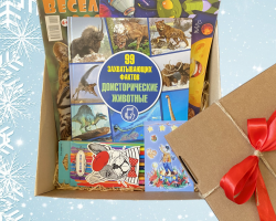 Новогодние боксы от издательства "Адукацыя і выхаванне" Новогодние боксы от издательства "Адукацыя і выхаванне"